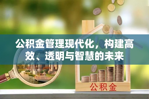 龙里公积金管理现代化，构建高效、透明与智慧的未来