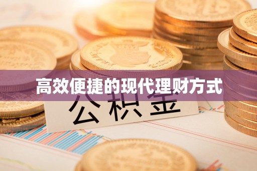 龙里高效便捷的现代理财方式