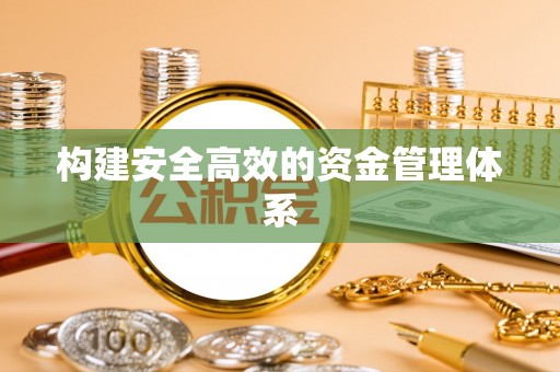 龙里构建安全高效的资金管理体系