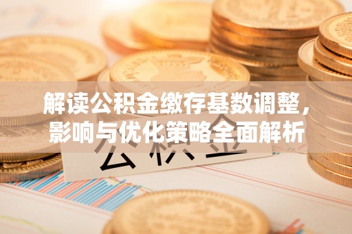 龙里解读公积金缴存基数调整，影响与优化策略全面解析