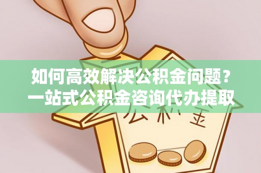 龙里如何高效解决公积金问题？一站式公积金咨询代办提取服务全解析