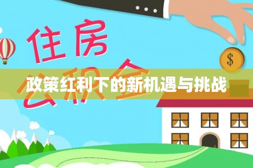 龙里政策红利下的新机遇与挑战