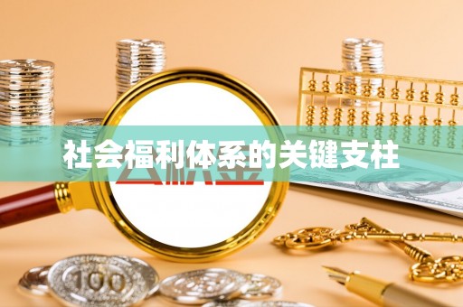 龙里社会福利体系的关键支柱