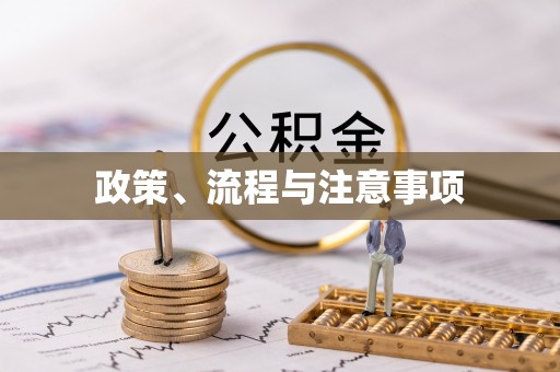 龙里政策、流程与注意事项