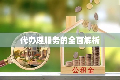 龙里代办理服务的全面解析