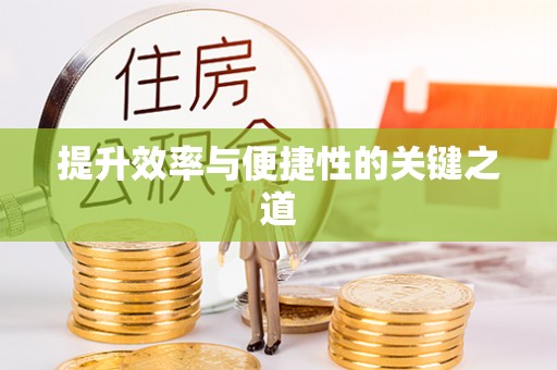 龙里提升效率与便捷性的关键之道