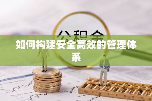龙里如何构建安全高效的管理体系