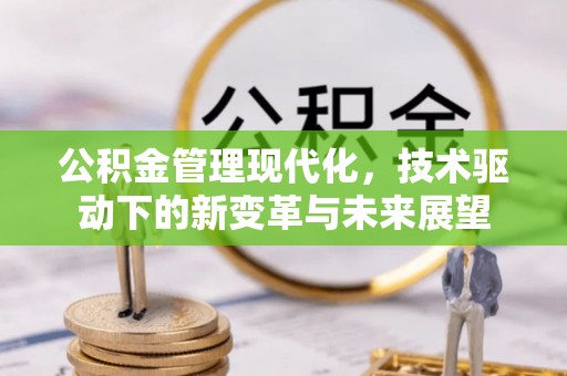 龙里公积金管理现代化，技术驱动下的新变革与未来展望