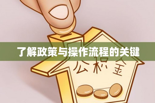 龙里了解政策与操作流程的关键