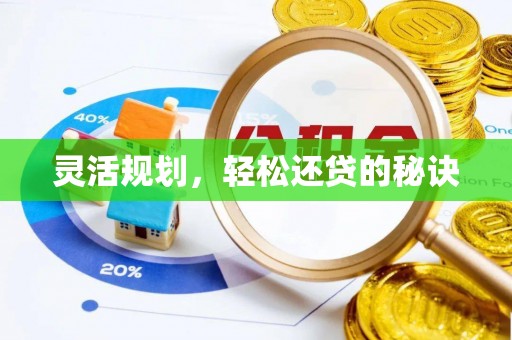 龙里灵活规划，轻松还贷的秘诀