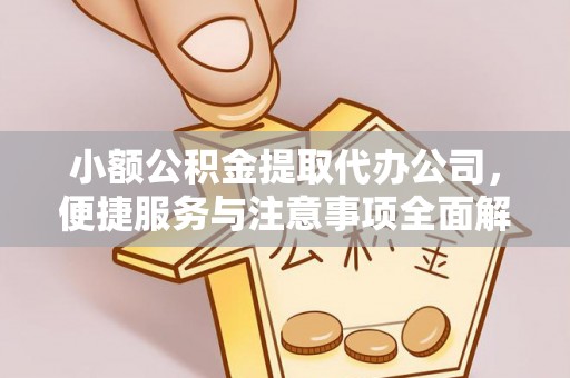 龙里小额公积金提取代办公司，便捷服务与注意事项全面解析