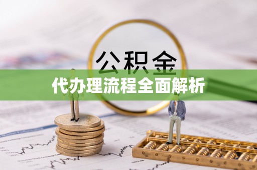 龙里代办理流程全面解析