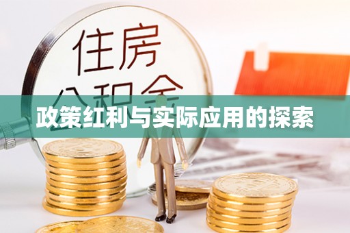 龙里政策红利与实际应用的探索