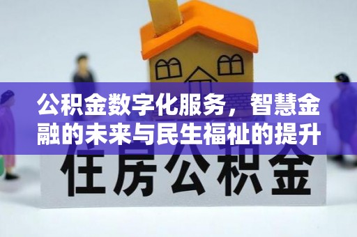龙里公积金数字化服务，智慧金融的未来与民生福祉的提升