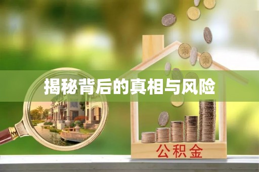 龙里揭秘背后的真相与风险