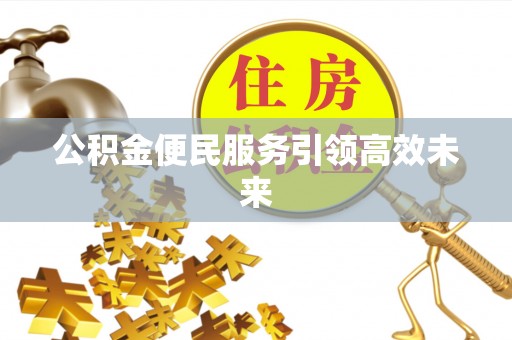 龙里公积金便民服务引领高效未来