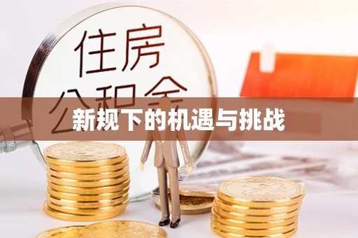 龙里新规下的机遇与挑战