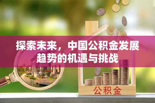 龙里探索未来，中国公积金发展趋势的机遇与挑战