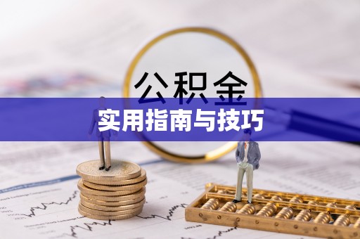 龙里实用指南与技巧