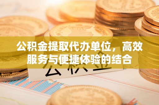 龙里公积金提取代办单位，高效服务与便捷体验的结合
