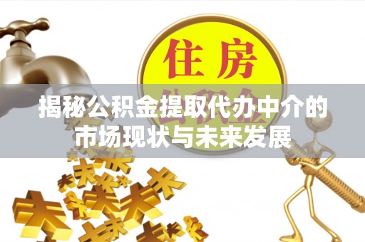 龙里揭秘公积金提取代办中介的市场现状与未来发展