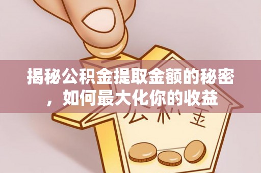 龙里揭秘公积金提取金额的秘密，如何最大化你的收益