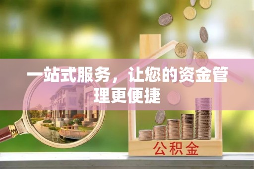 龙里一站式服务，让您的资金管理更便捷