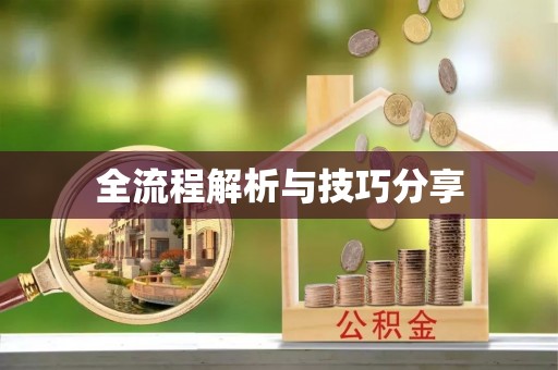 龙里全流程解析与技巧分享